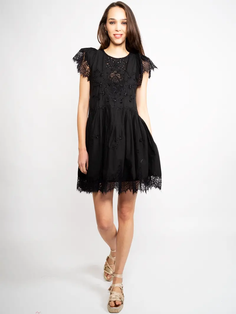 Black Embroidered Muslin Dress 1