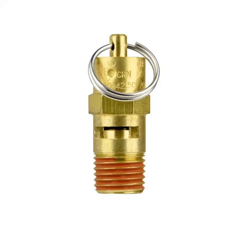 Dewalt 200 Psi Asme-Certified Two-Stage Pressure Relief Valve 1