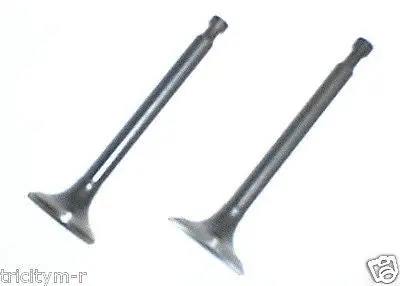 Honda Gx160 & Gx200 Intake And Exhaust Valve Kit – Fits 14711-Zf1-000 & 14721-Zf1-000 1