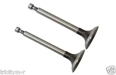 Honda Gx340 & Gx390 Intake And Exhaust Valve Set – Replaces 14711-Ze3-000 & 14721-Ze3-000 1